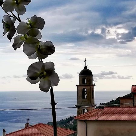 Dolci Risvegli Appartamento Vista Mare Ventimiglia Eksteriør billede