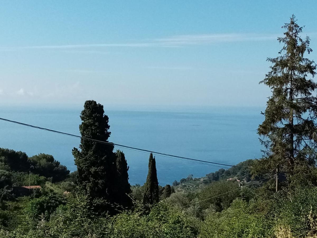 Dolci Risvegli Appartamento Vista Mare Ventimiglia Eksteriør billede