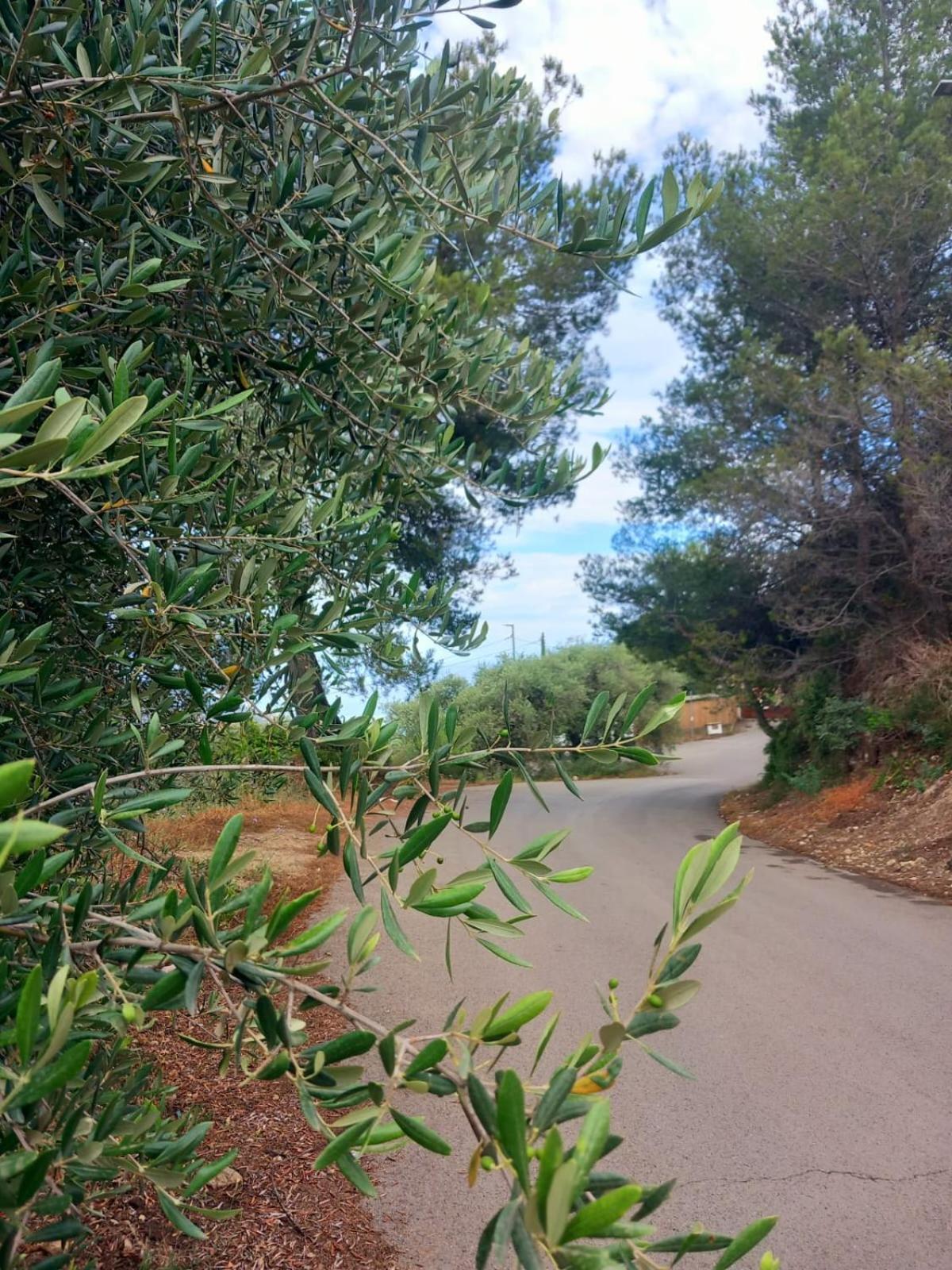 Dolci Risvegli Appartamento Vista Mare Ventimiglia Eksteriør billede