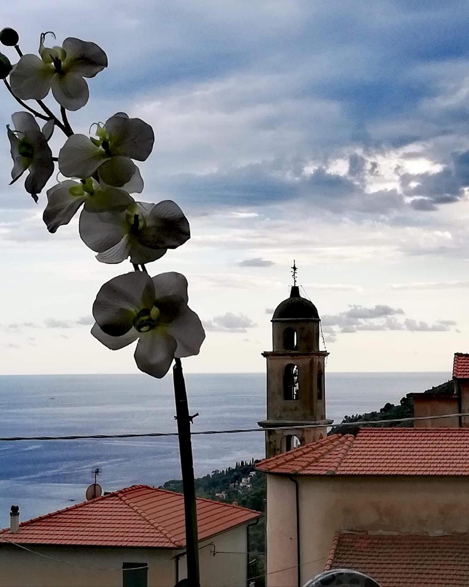 Dolci Risvegli Appartamento Vista Mare Ventimiglia Eksteriør billede
