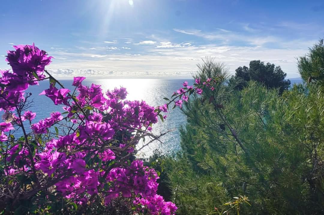 Dolci Risvegli Appartamento Vista Mare Ventimiglia Eksteriør billede