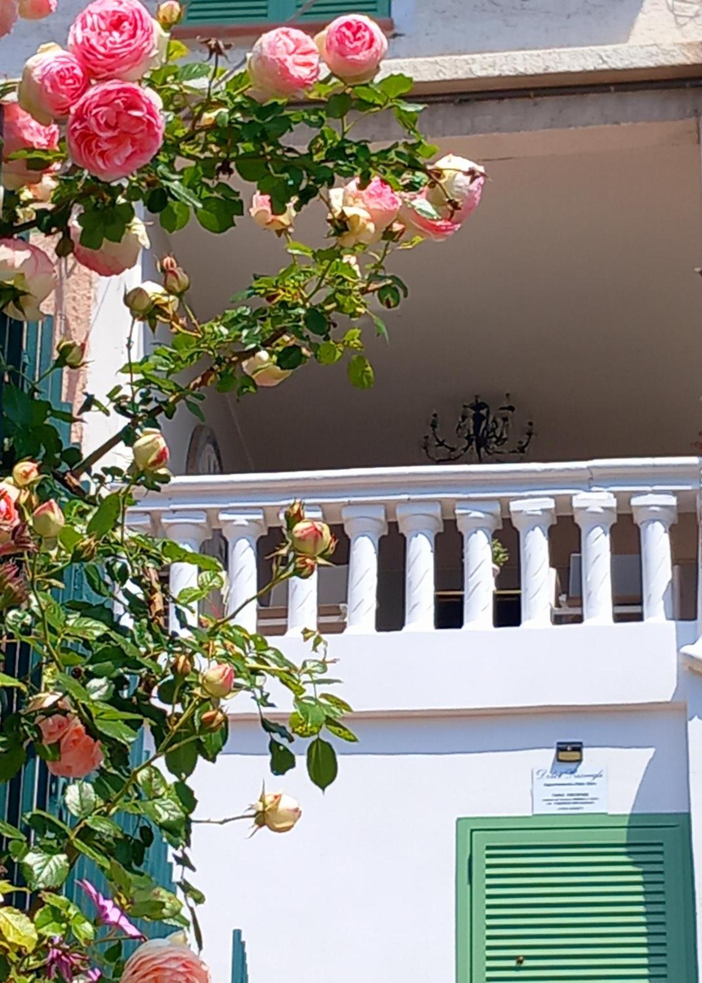 Dolci Risvegli Appartamento Vista Mare Ventimiglia Værelse billede