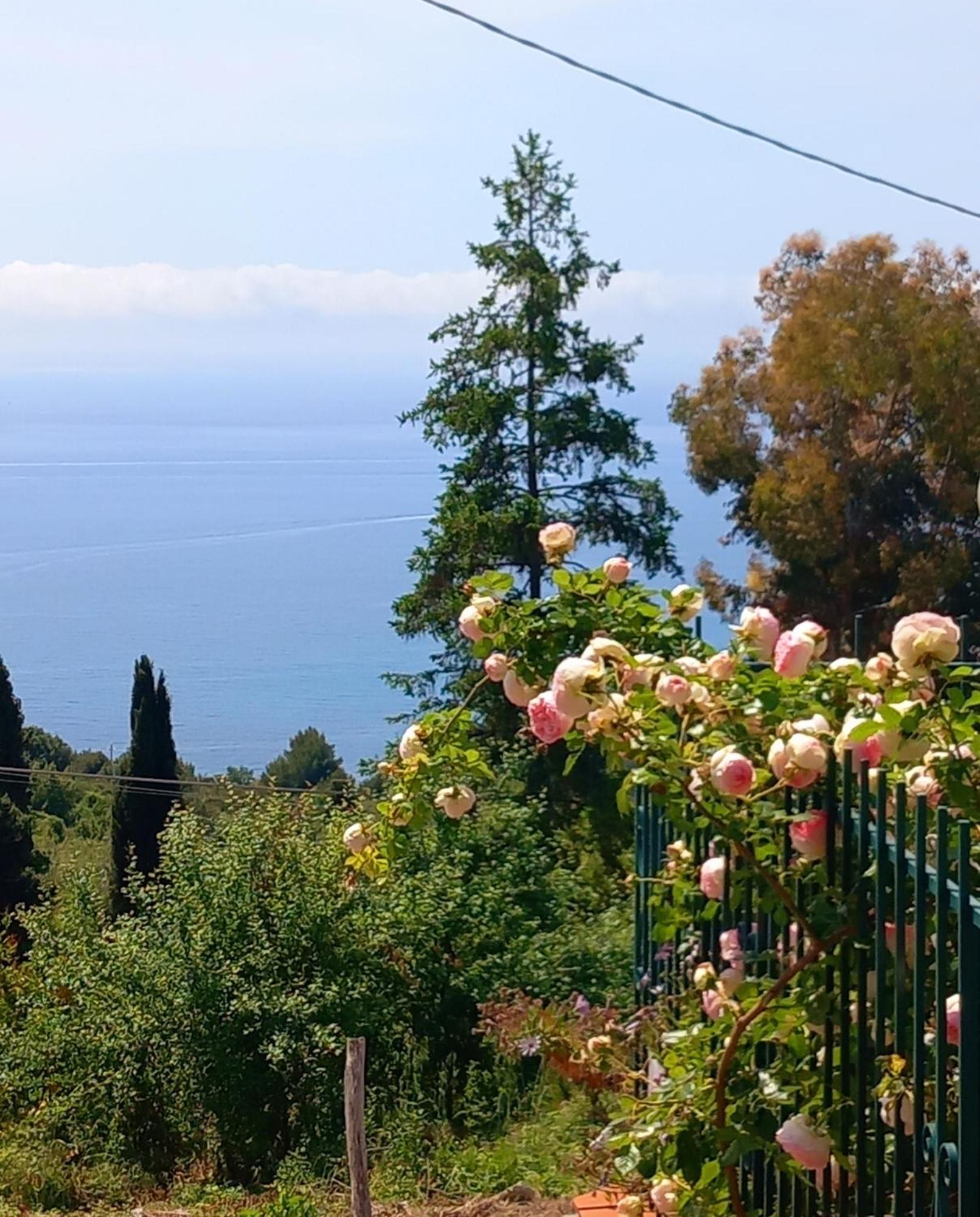 Dolci Risvegli Appartamento Vista Mare Ventimiglia Eksteriør billede